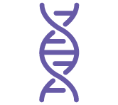 DNA helix. 