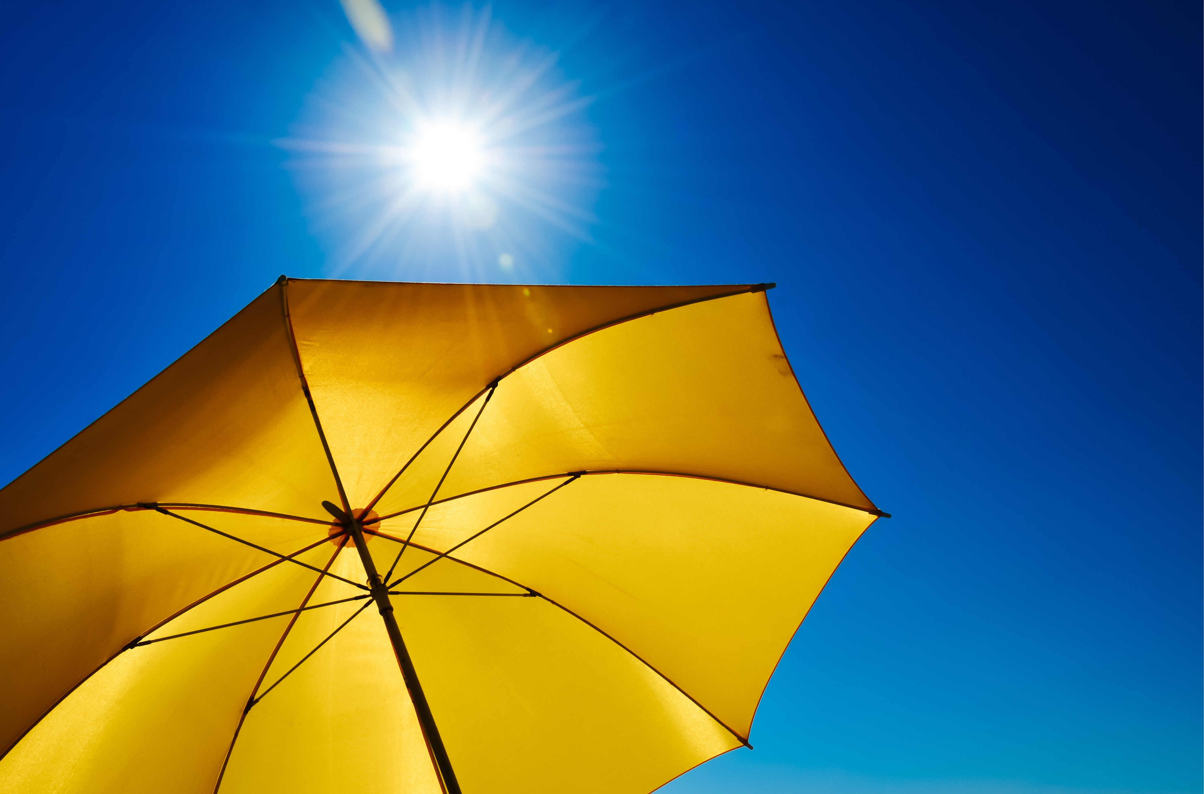 umbrella under sun