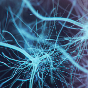 neuroimaging 