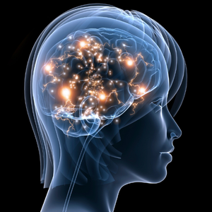neuropathology 