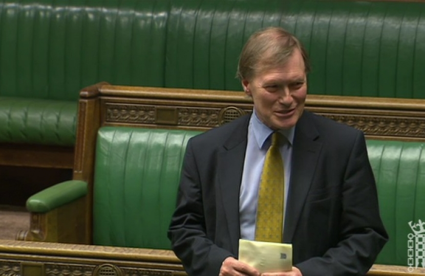David Amess MP talking in the House of Commons