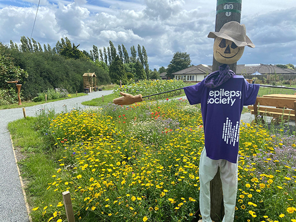 ​​​​A scarecrow wearing a purple Epilepsy Society t-shirt is standing in front of the nature trail, full of a mixture of yellow flowers