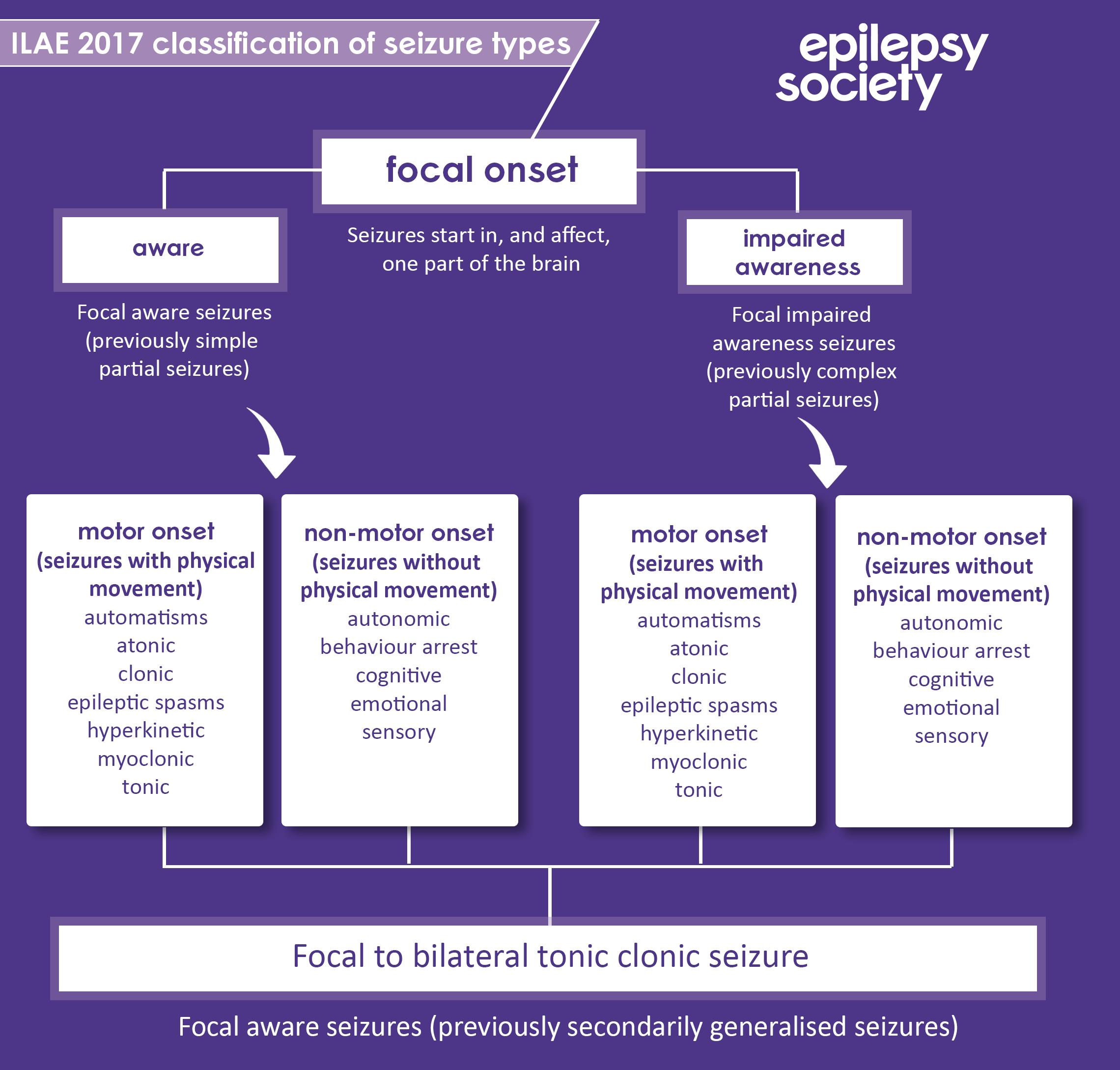 Seizure Classifications 2018 Focalonset Amended 