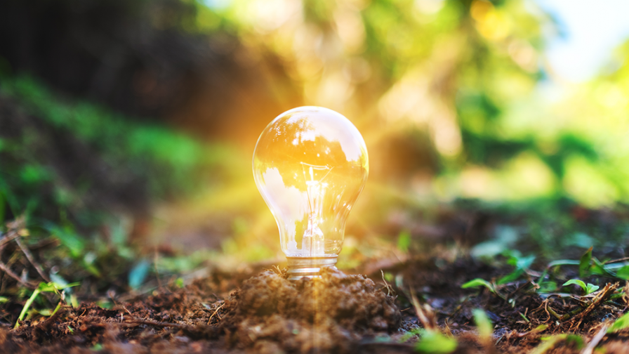 A lightbulb in the ground