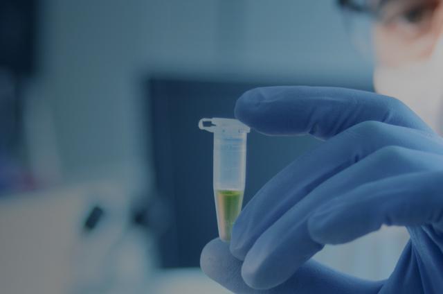 person holding up a test tube